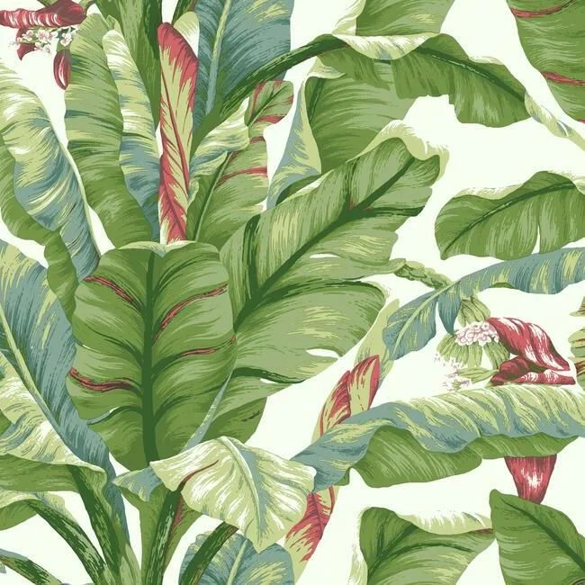 Banana Leaf Peel & Stick Wallpaper in White and Green by York Wallcoverings