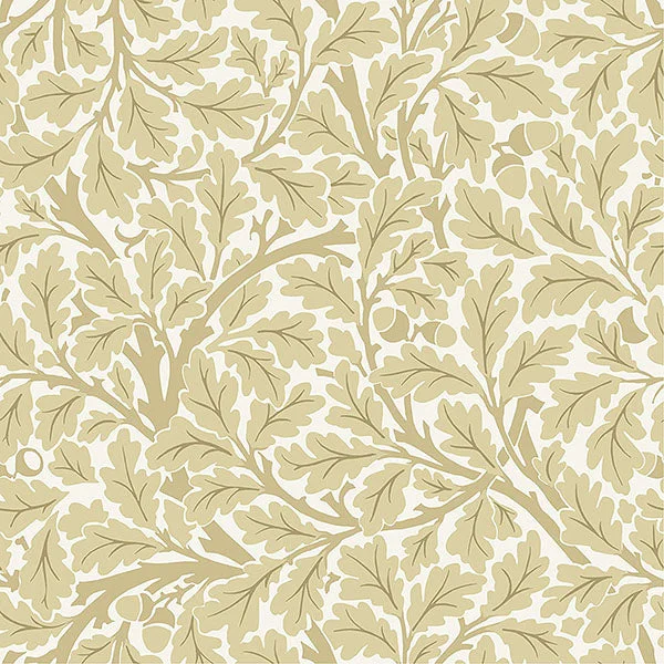 Oak Tree Light Yellow Leaf Wallpaper